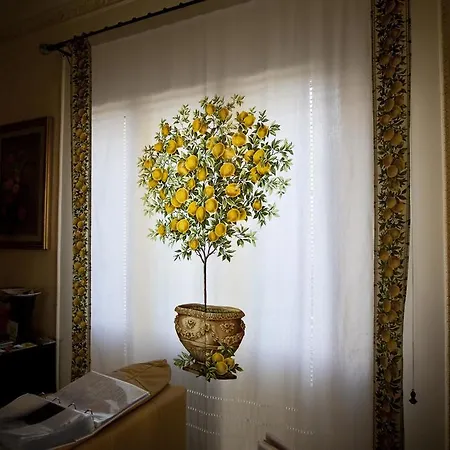 Bed & Breakfast Lemon Tree *